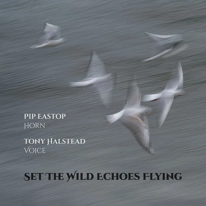 Set The Wild Echoes Flying