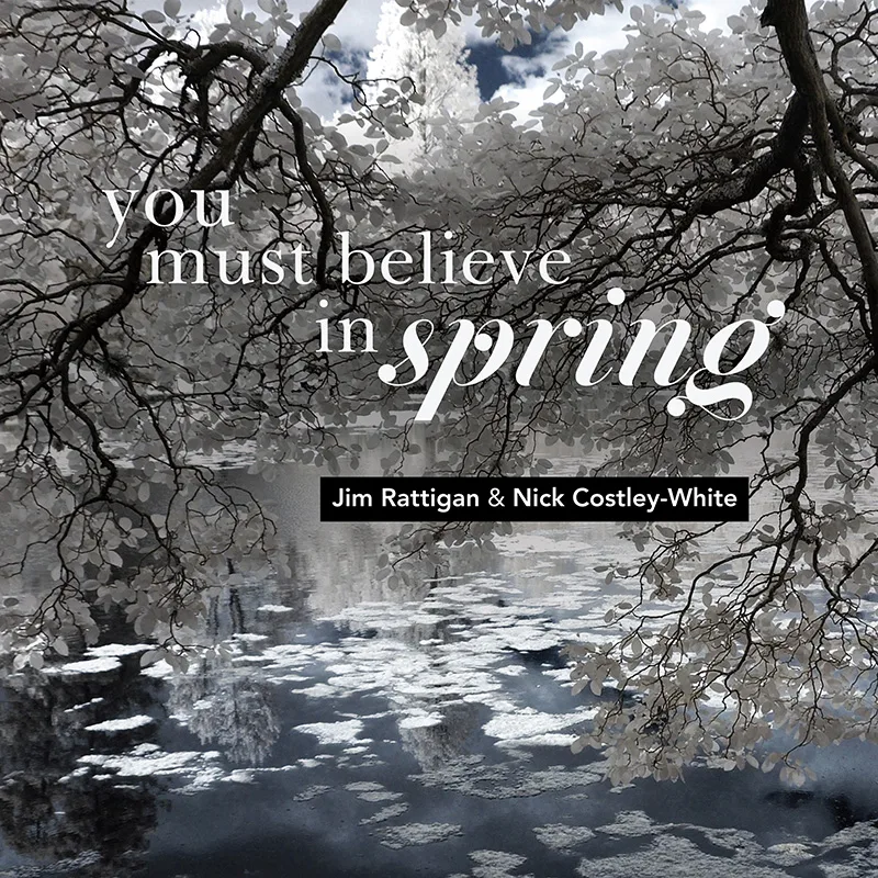 You Must Believe in Spring album Cover